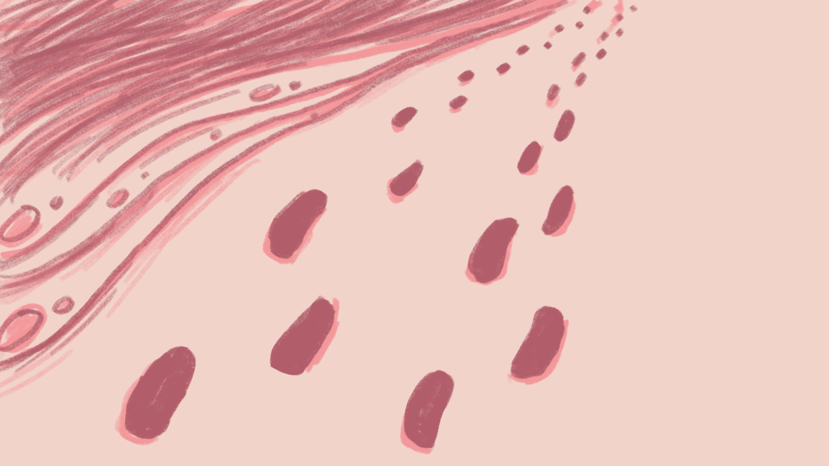 Storyboard 15